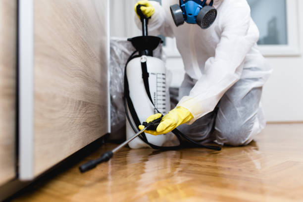Best Best Pest Control Companies  in Alvin, TX