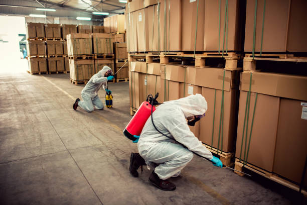 Best Commercial Pest Control Services  in Alvin, TX