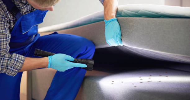 Best Pest Control for Restaurants  in Alvin, TX