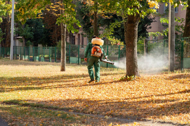 Best Wasp Removal Services  in Alvin, TX