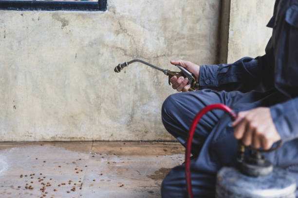 Best Emergency Pest Control  in Alvin, TX